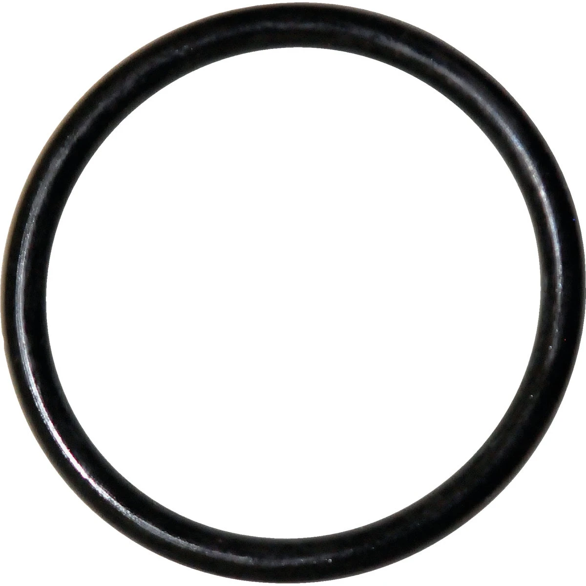 celebrationhardware4635669