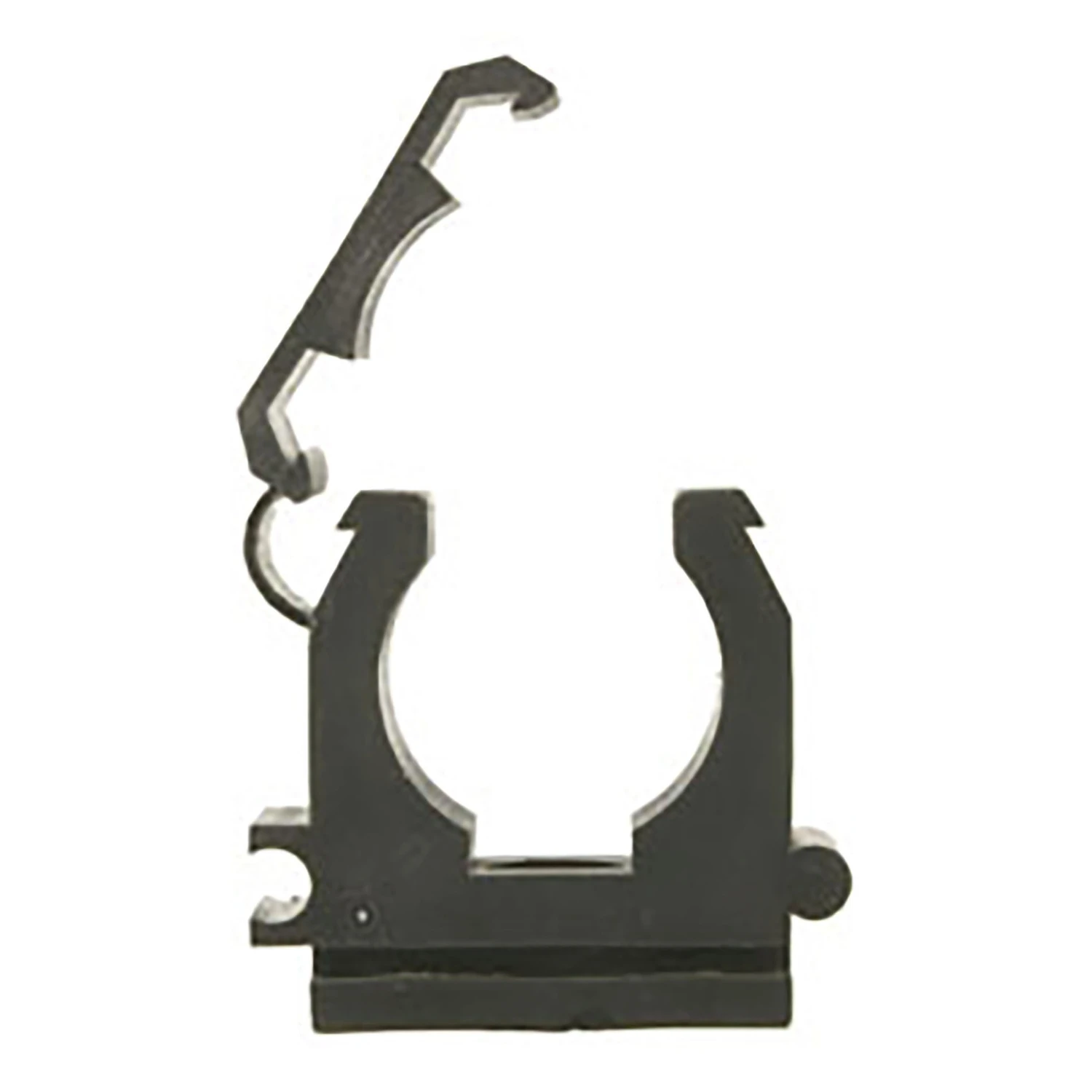 celebrationhardware4691662