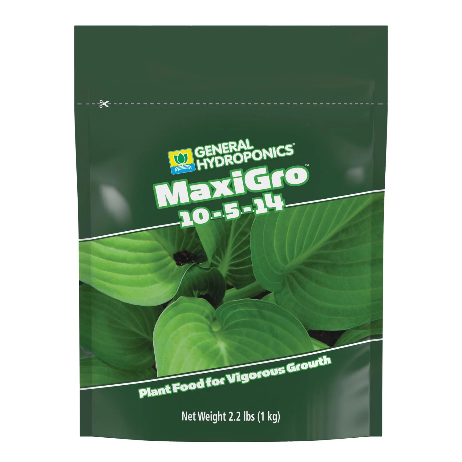 celebrationhardware4960463