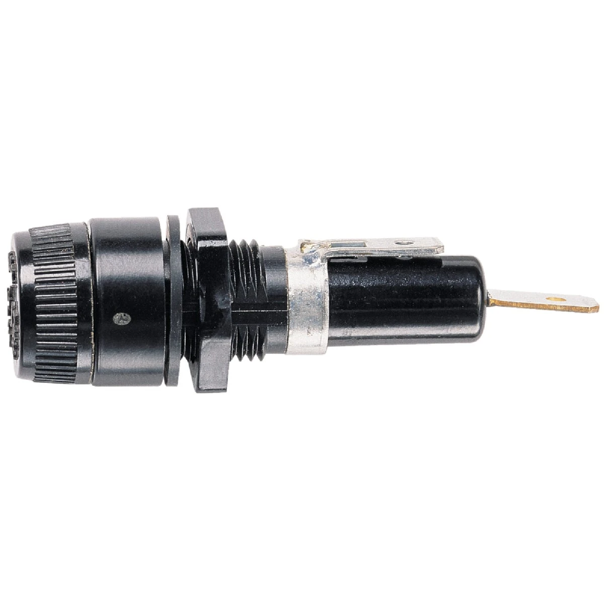 celebrationhardware4996530