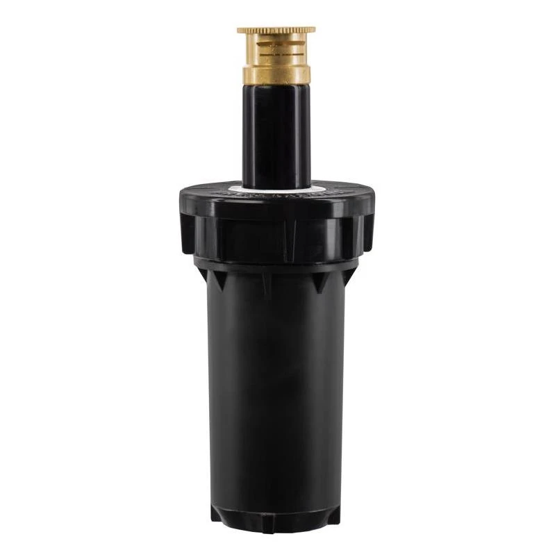 celebrationhardware5510666