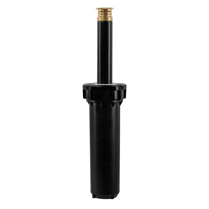 celebrationhardware5512401