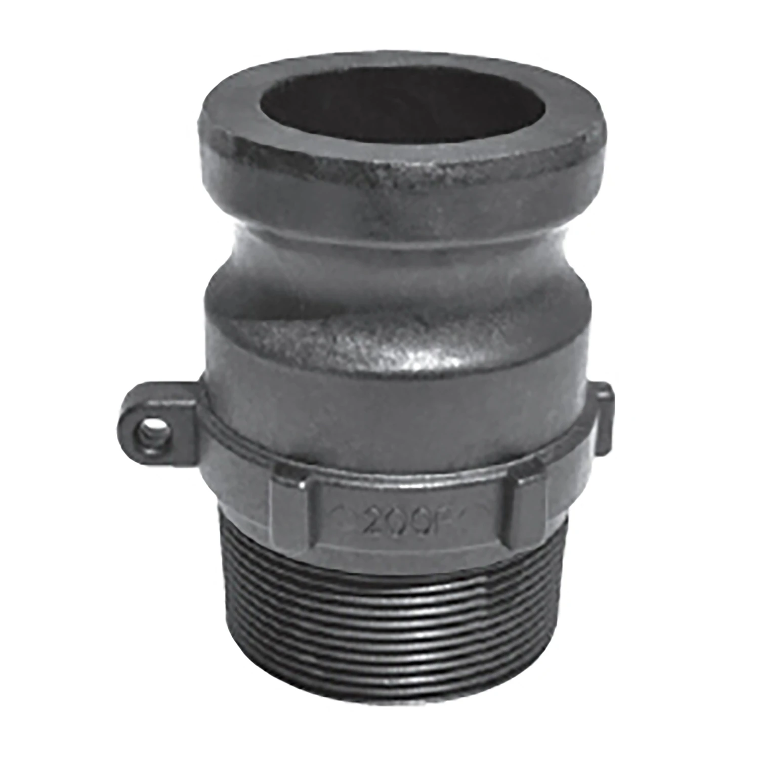 celebrationhardware5518041