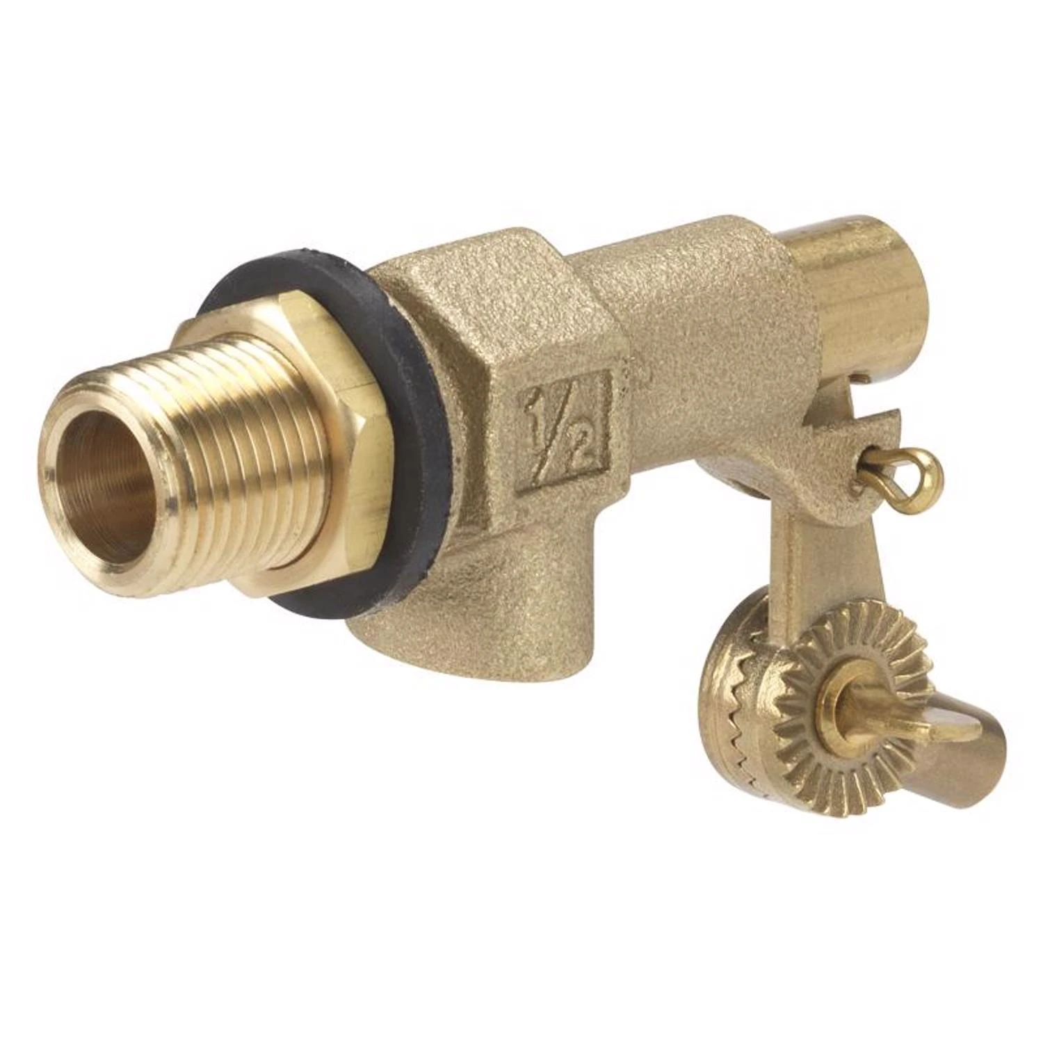 celebrationhardware5521641