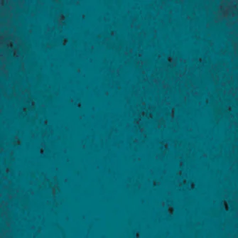moondecorative3256772