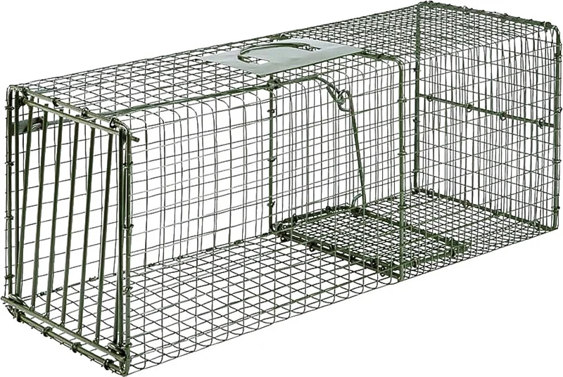store.clatskaniebuildersupply3476564
