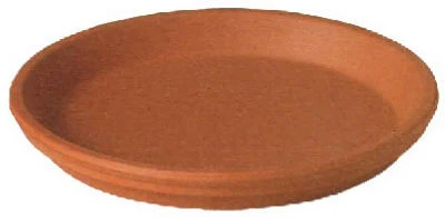 vassartruevalue4180196