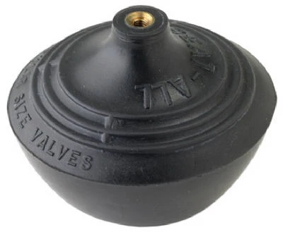 vassartruevalue4385399