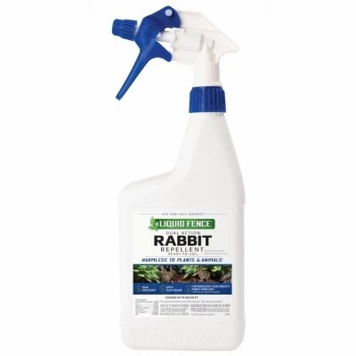 vassartruevalue4594198