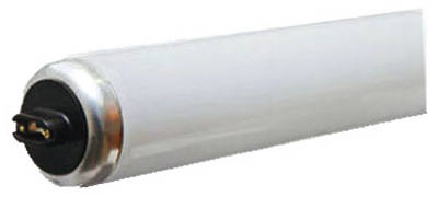 vassartruevalue4817332