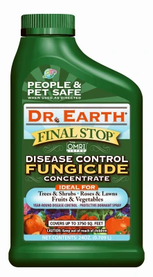 vassartruevalue4821855