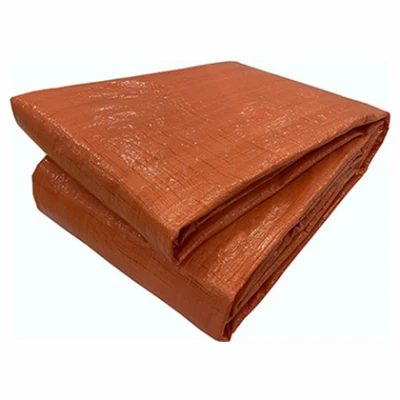 vassartruevalue5004618