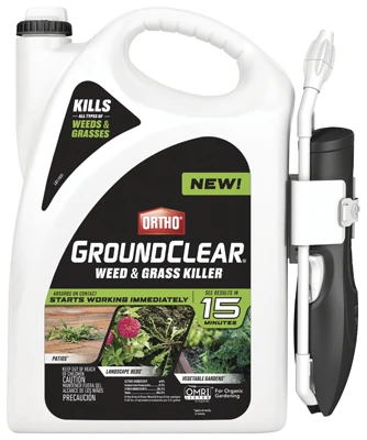 vassartruevalue5265353
