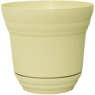 vassartruevalue5488110