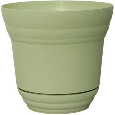 vassartruevalue5488153