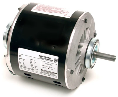 vassartruevalue5508051