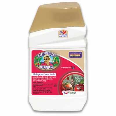 vassartruevalue5771531