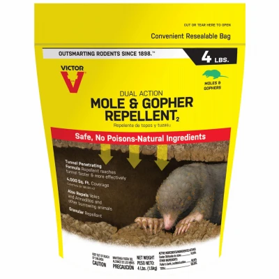 vassartruevalue5794508