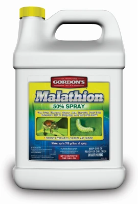 vassartruevalue5876881