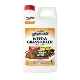 vassartruevalue6015240