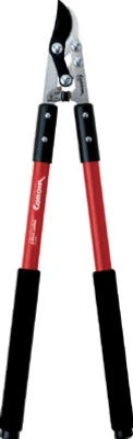 vassartruevalue6037021