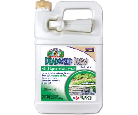 vassartruevalue6143945