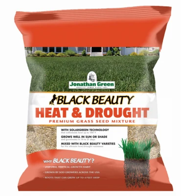 vassartruevalue6159313