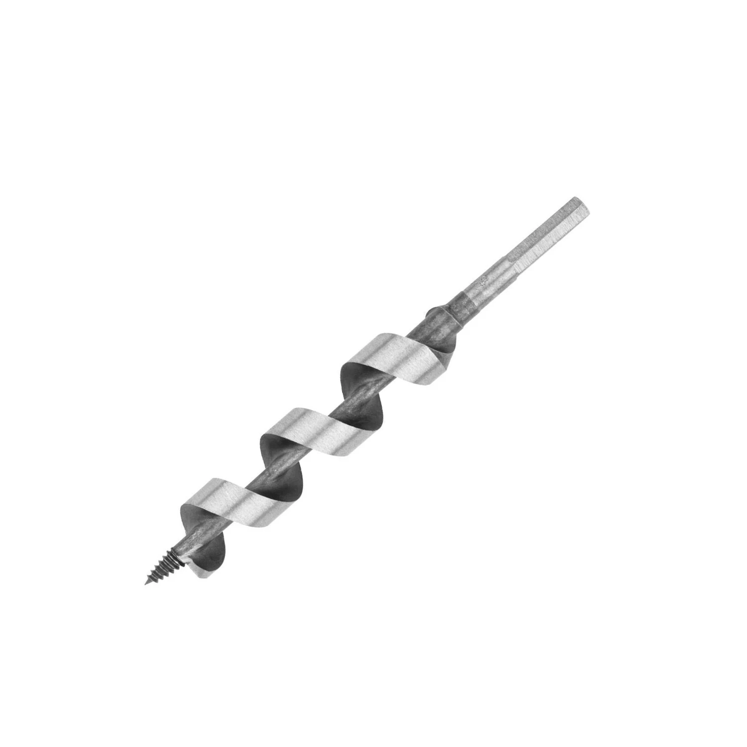 wdbryant4670157