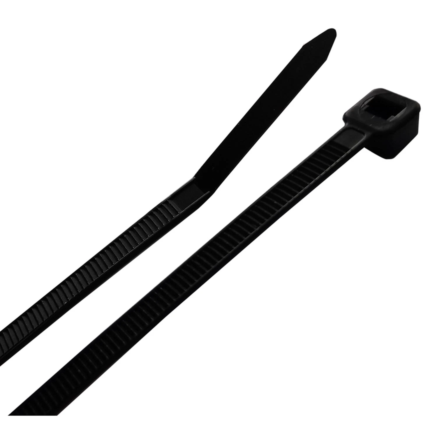 wdbryant5322044