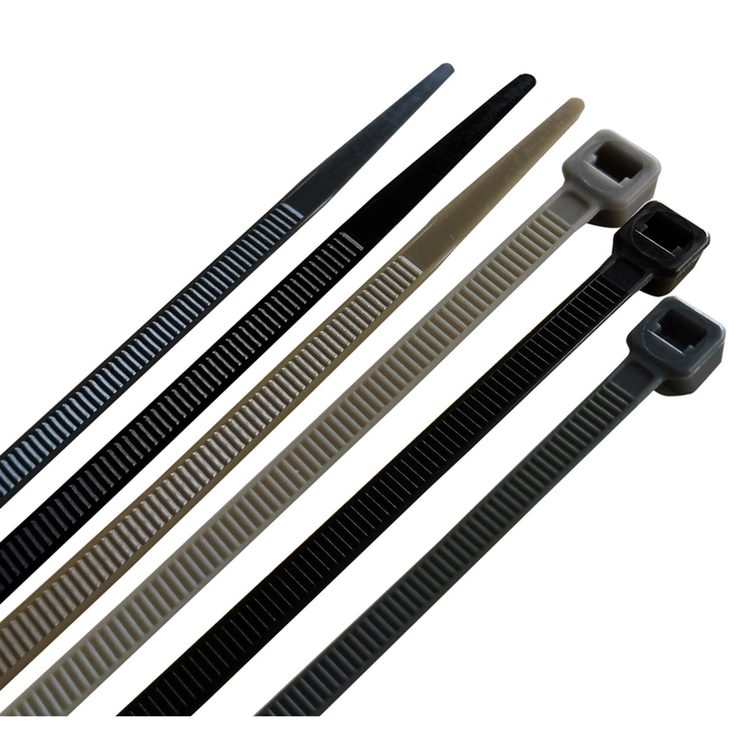 wdbryant5334150