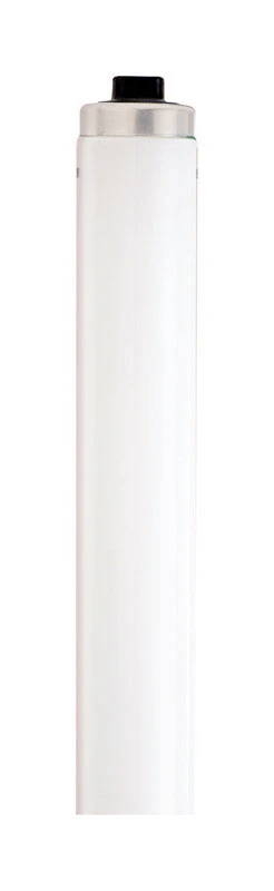 wdbryant5807051