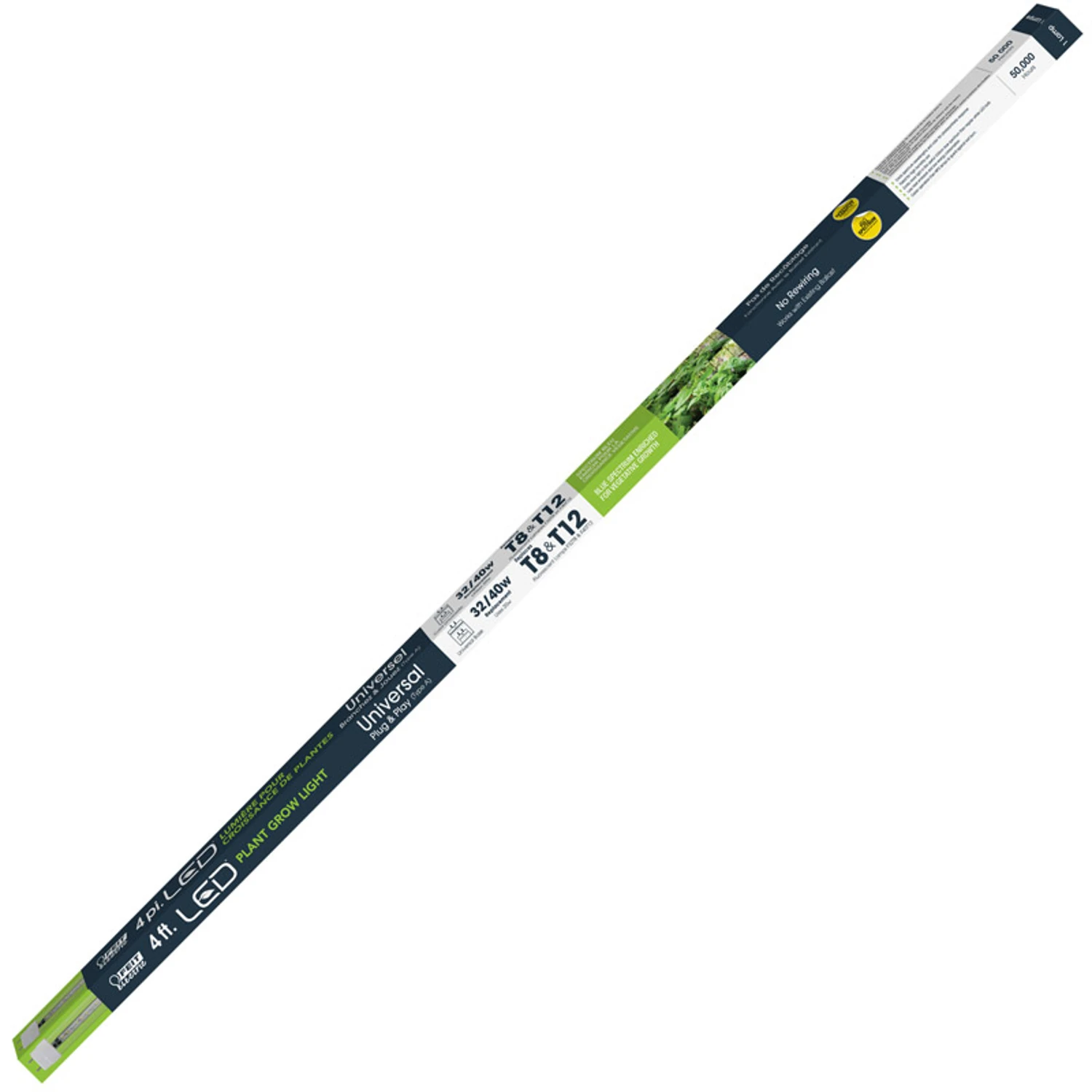 wdbryant5829808